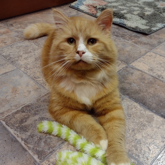 Me, in a nutshell - Picture 11 of 13